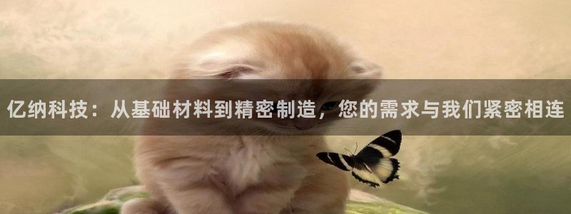 传奇cq9电子冠军：亿纳科技：从基础材料到精密制造，您的需求