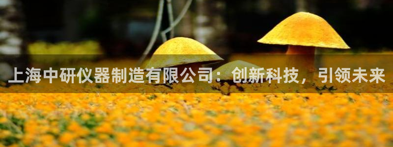 cq9电子哪吒：上海中研仪器制造有限公司：创新科技，引领未来